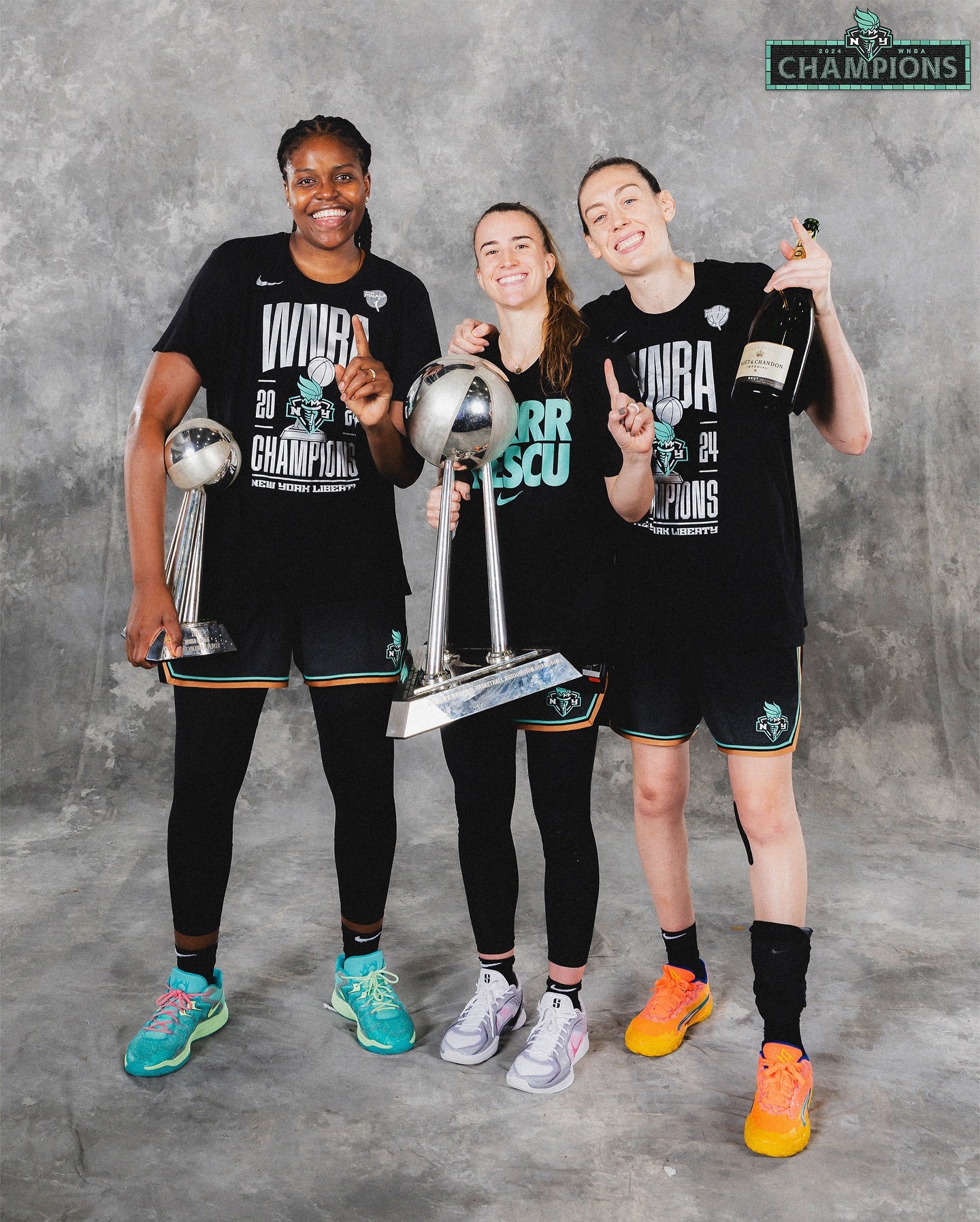 Positive Women United Celebrates Female Empowered 2024 WNBA New York Liberty Basketball Championship